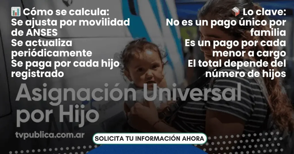 Asignación Universal por HIjo